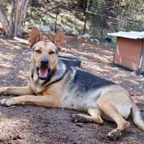 Thumbnail photo of Delilah #2