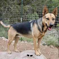 Thumbnail photo of Delilah #3