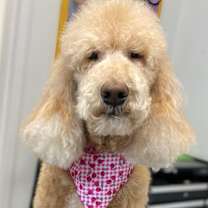 Thumbnail photo of Sunny #1