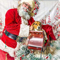 Thumbnail photo of Sally #1