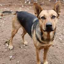 Thumbnail photo of Delilah #4