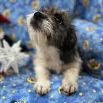 Thumbnail photo of Mel #3