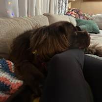 Thumbnail photo of Lilly #4