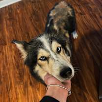 Thumbnail photo of Luna #1