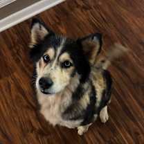 Thumbnail photo of Luna #2