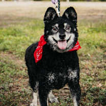 Thumbnail photo of Senor #1