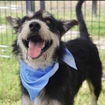 Thumbnail photo of Paul #3