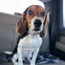 Thumbnail photo of Nut #2