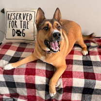 Thumbnail photo of Okie #1