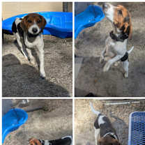 Thumbnail photo of Butters - 23077 #1