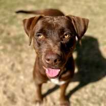 Thumbnail photo of Gon #2