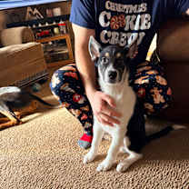 Thumbnail photo of Bear #3