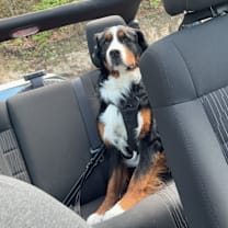 Thumbnail photo of Alfredo #4