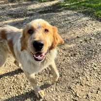 Thumbnail photo of Hamilton #2