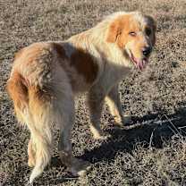 Thumbnail photo of Hamilton #3