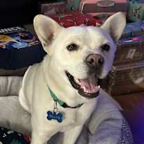 Thumbnail photo of Shane #1