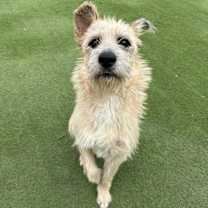 Thumbnail photo of Sherrie #1