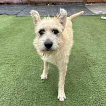 Thumbnail photo of Sherrie #2