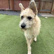 Thumbnail photo of Sherrie #3