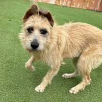 Thumbnail photo of Sherrie #4