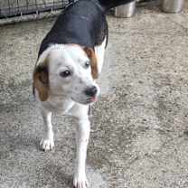 Thumbnail photo of Sweetie #4