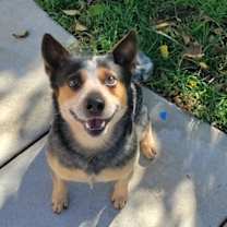 Thumbnail photo of Gifford #4