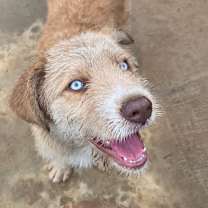 Thumbnail photo of Nana #2