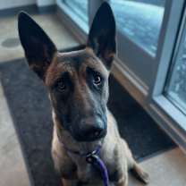 Thumbnail photo of Jill #3