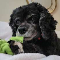 Thumbnail photo of Heidi #2