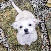 Thumbnail photo of Helga #2