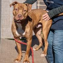 Thumbnail photo of Bundie #4