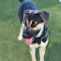 Thumbnail photo of Max #4