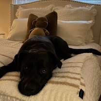 Thumbnail photo of Dolph #4