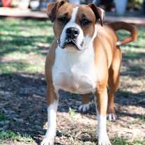 Thumbnail photo of Thumbelina #4