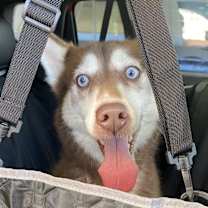 Thumbnail photo of Akasha Blu #4