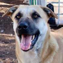 Thumbnail photo of HollyBerry #1