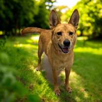 Thumbnail photo of Alani #2