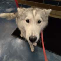 Thumbnail photo of Dasha #2