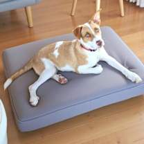 Thumbnail photo of Django #1