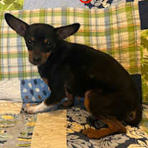 Thumbnail photo of Valery #2