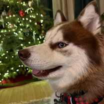 Thumbnail photo of Freddy #4