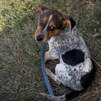 Thumbnail photo of Max #1