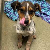 Thumbnail photo of Max #2