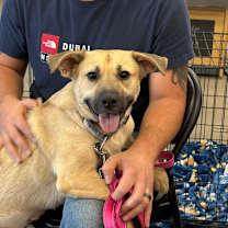 Thumbnail photo of Charlotte  #1