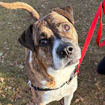 Thumbnail photo of Pei #2