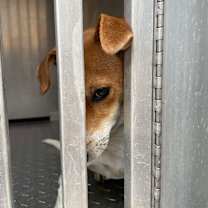 Thumbnail photo of Murtaugh B1214 #3