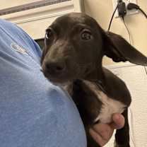 Thumbnail photo of Claire #4