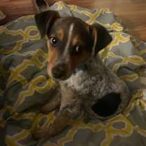 Thumbnail photo of Max #4