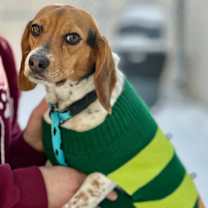 Thumbnail photo of Stacy #3