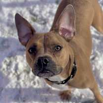 Thumbnail photo of Diesel(Mall NH) #1